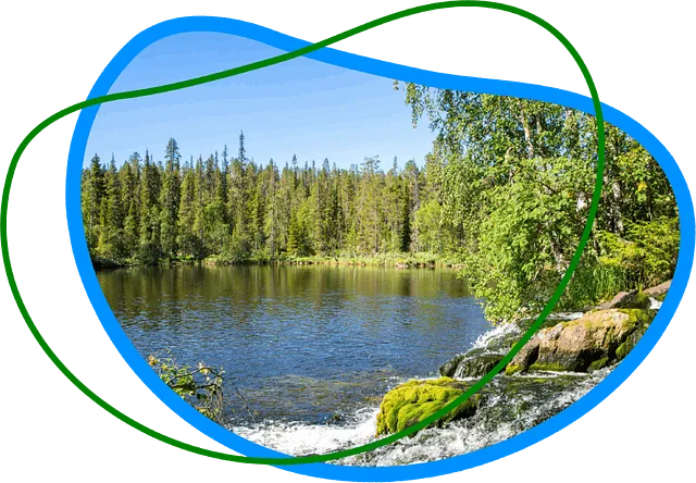 F.P.Environnement