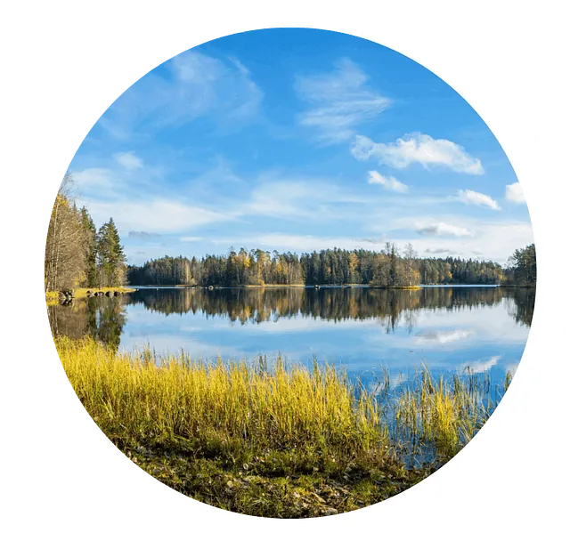 F.P.Environnement