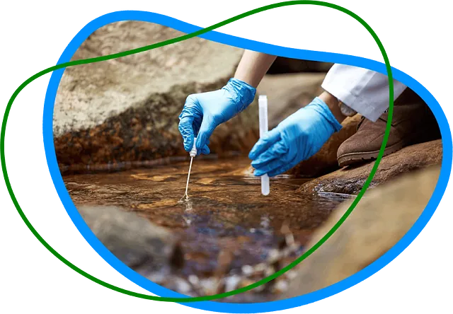 F.P.Environnement